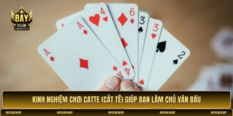 Catte (Cắt tê)