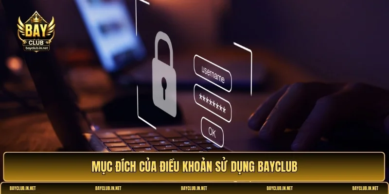 Điều khoản Bayclub