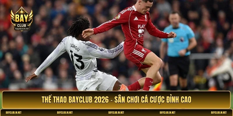Thể thao Bayclub