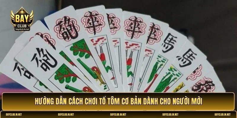 Tổ Tôm